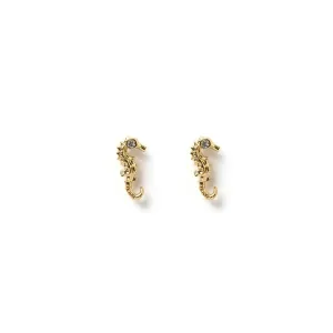 Seahorse Gold Studs