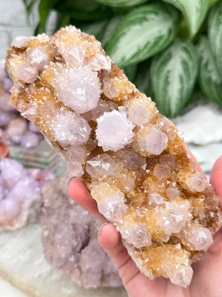 Spirit Quartz Clusters