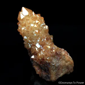 Tangerine Aura Imperial Gold Spirit Cactus Quartz Twin Record Keeper Abundance Crystal