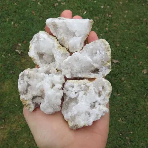 White Druzy Quartz Geode Stone | Medium 2" Cracked Crystal Geode