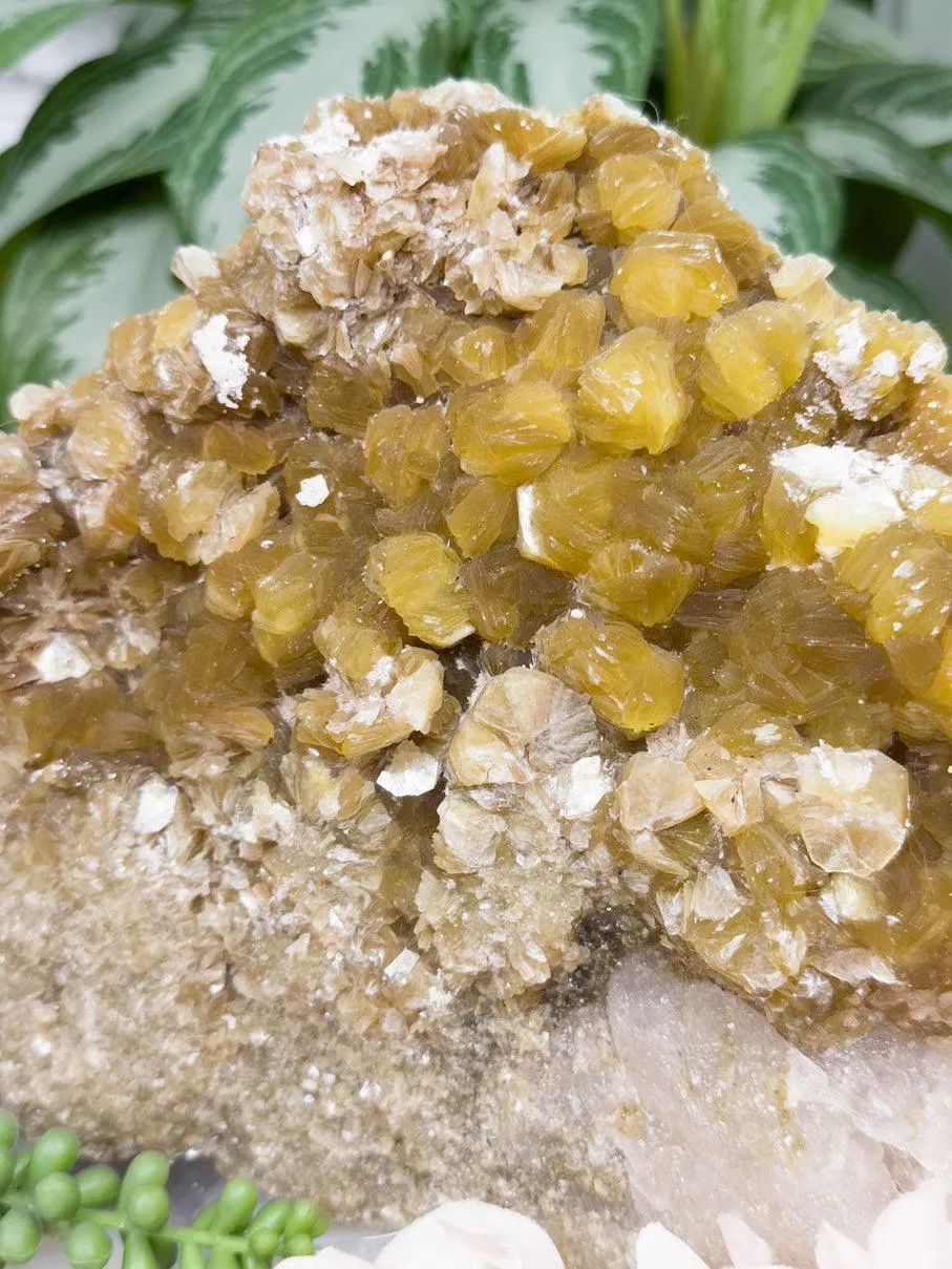 Yellow Mica Quartz